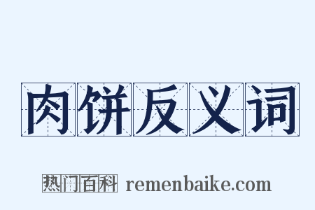 肉饼反义词是什么意思的图片